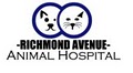 Richmond Avenue Animal